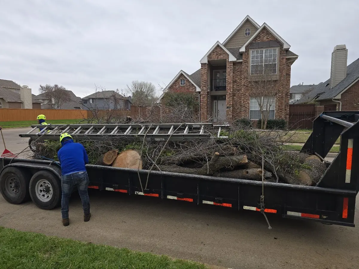 Expert Tree Removal with proper safety equipment in New York Mills